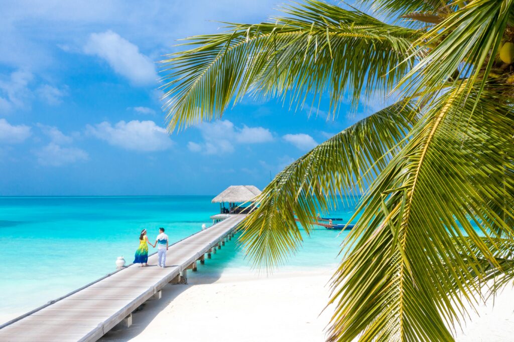 Where to Travel in Summer